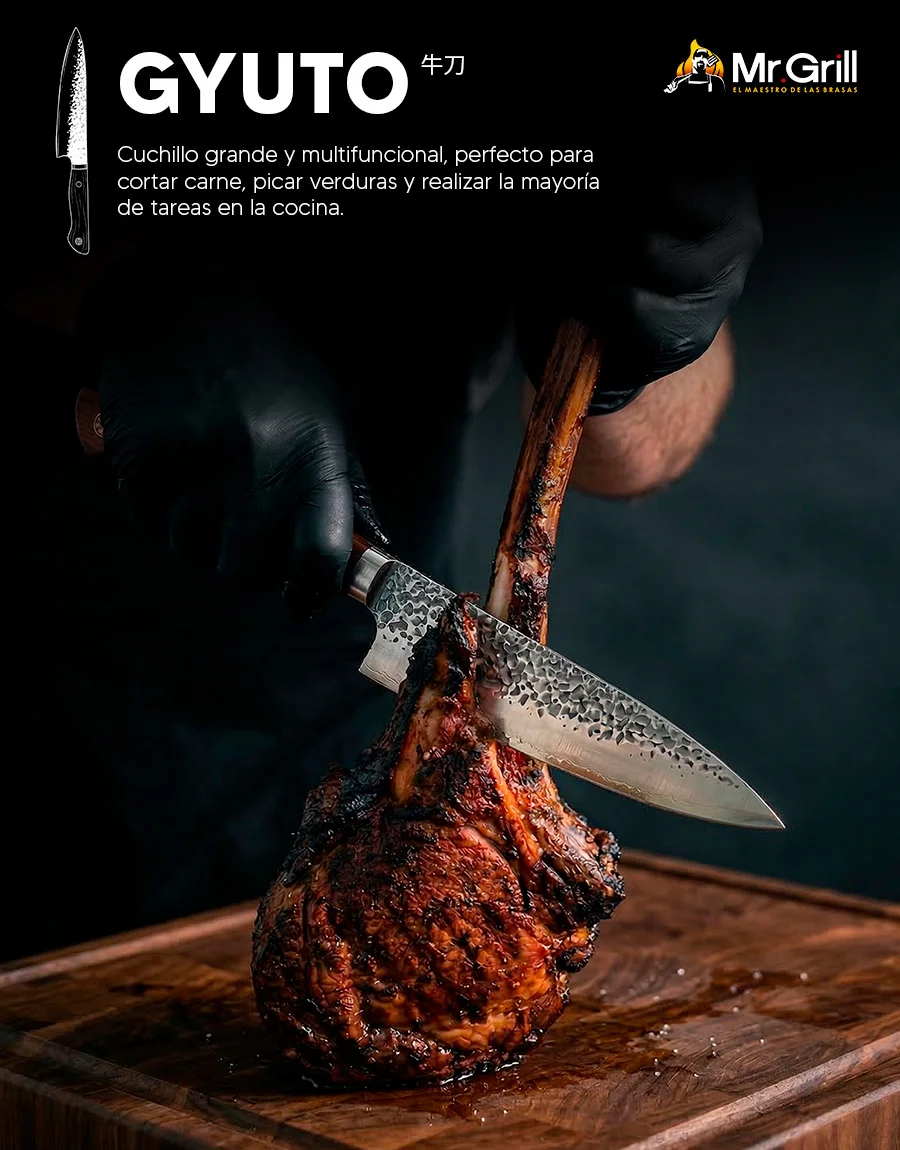 Juego de 4 Cuchillos Profesionales con Estuche-Foto 9-900x1150PX-IA